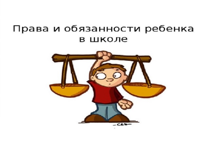 Правила обучения. Права и обязанности учащегося.